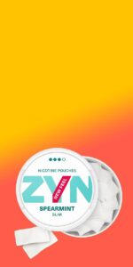 Nicotine Pouches for Sale online